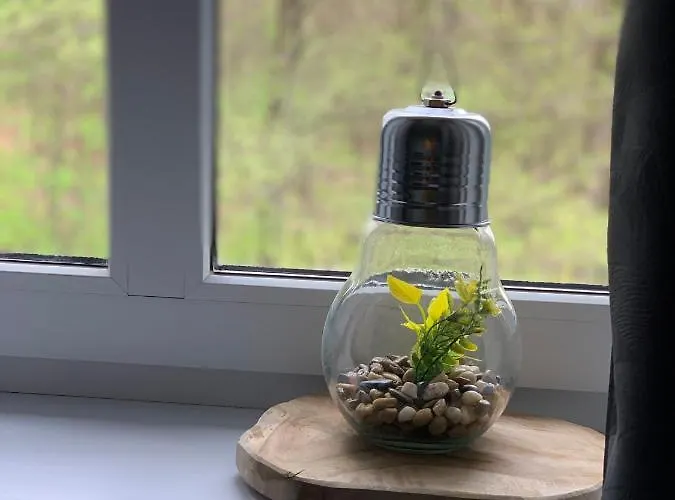 Апартаменты Forest