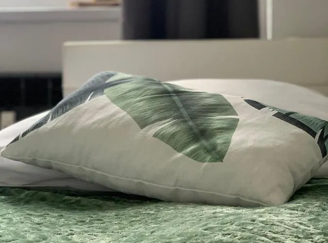 Appartement Forest Świeradów-Zdrój