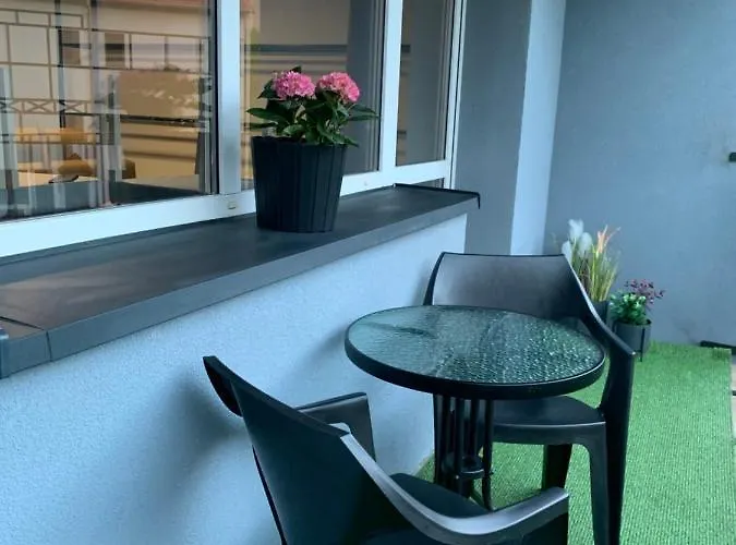 Forest * Сверадув-Здруй